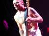 flea